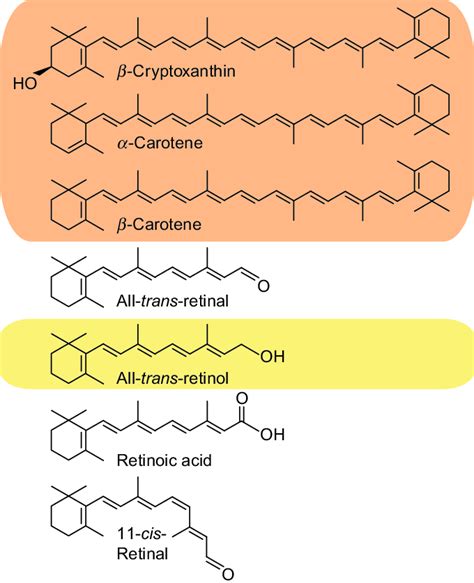 Vitamin A and carotenoid precursor structures. Common dietary... | Download Scientific Diagram