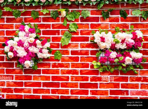 Flowers on the wall Stock Photo - Alamy