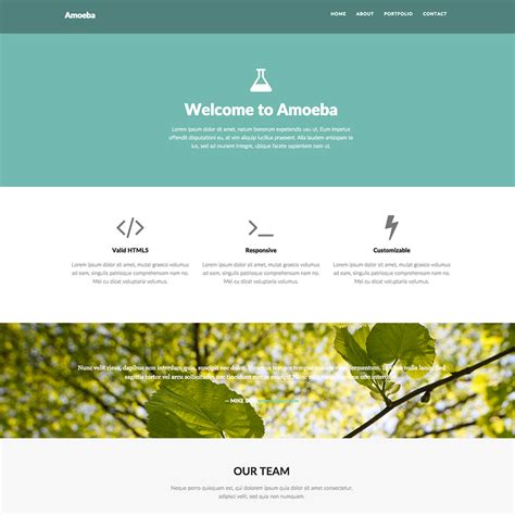 Amoeba Free Bootstrap Responsive Website Template