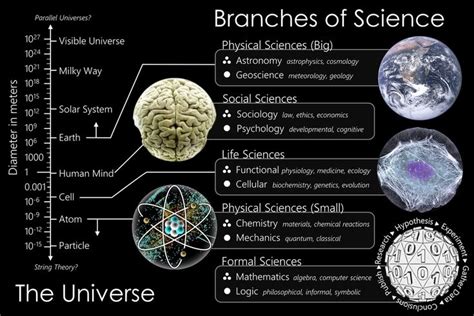 From Wikiwand: The scale of the universe mapped to branches of science.[1] | Physical science ...