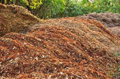 Composting of Autumn Leaves - Priority Trees