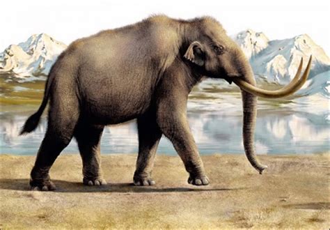 After more than 126,000 years, extinct steppe mammoth emerges to show off his giant tusks