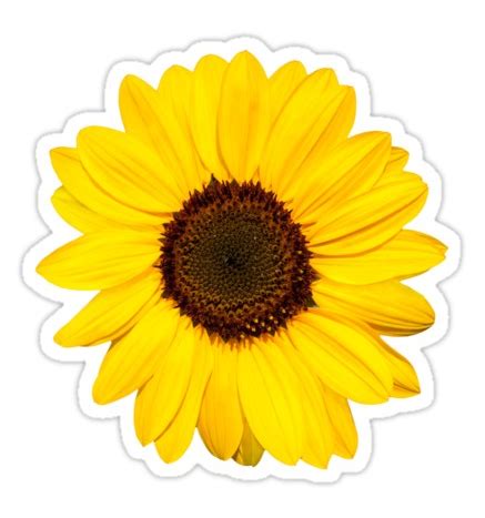 Sunflower stickers. Sticker featuring a photo of a beautiful, yellow sunflower. | Sunflower ...