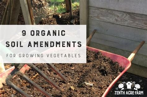 9 Organic Soil Amendments for Growing Vegetables - Tenth Acre Farm