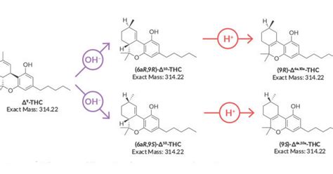 HPLC Method to Differentiate Four THC Stereoisomers: (6aR,9R)-Δ10-THC, (6aR,9S)-Δ10-THC, 9(R ...