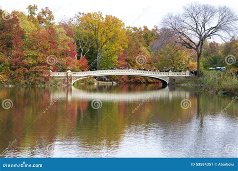 Bridge in Central Park editorial photo. Image of america - 53584351