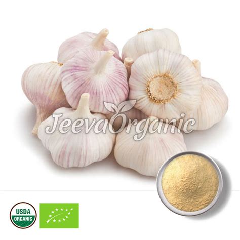 Organic Garlic Powder Supplier | Bulk Garlic Powder Supplier