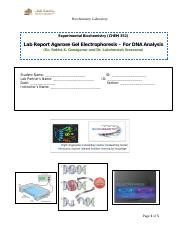 Week7 Agarose gel electrophoresis DNA LabReport.pdf - Biochemistry Laboratory Experimental ...