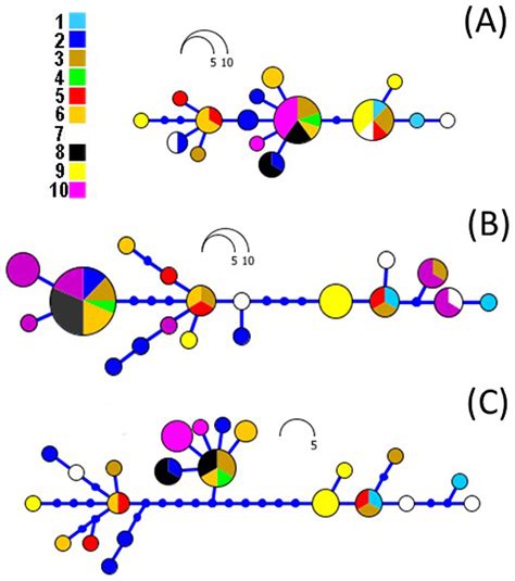 Phylogeographic and population insights of the Asian common toad (Bufo gargarizans) in Korea and ...