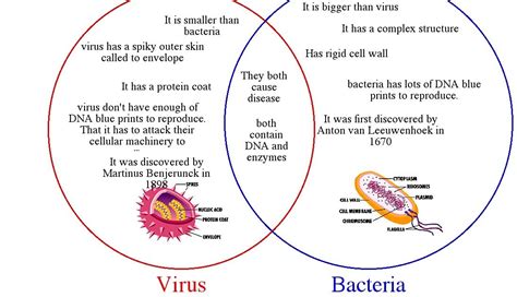 Do You Know?: Do You Know the Difference Between a Bacterial and a Viral Infection?