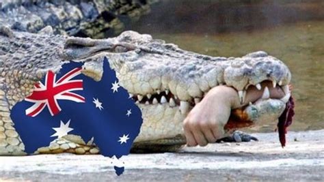 Crocodile attacks and kills man in front of friends in Australia's north - video dailymotion