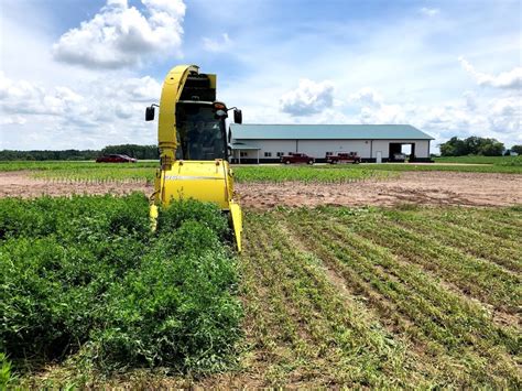 Harvesting Alfalfa, Harvesting Data - Legacy Seeds