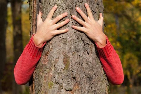 Man Hiding Behind Tree Stock Images - Download 158 Royalty Free Photos