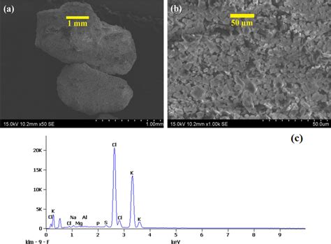 a SEM images at magnification × 50; and b magnification × 1000; and c ...