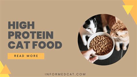 The benefits of switching to a high-protein cat food