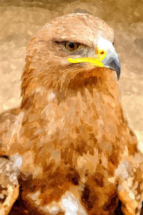 Watercolor painting of Golden Eagle Digital Art by Hamik ArtS - Fine Art America