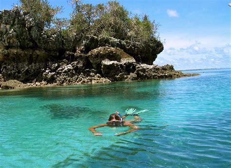 Mafia Island Marine Park | Tanzania | Expert Africa