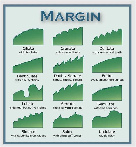 Leaf Diagrams