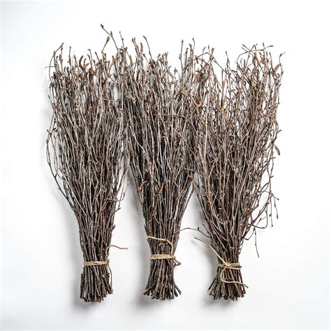 Buy ECOWOODDECOR 150 Lighted Twigs. LED Branch Lights Battery Powered ...