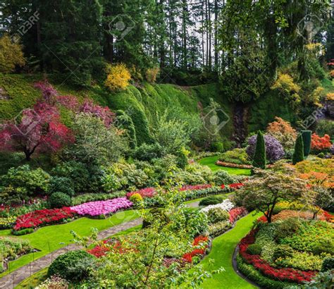 beautiful gardens vancouver | Butchart gardens, Dream garden, Botanical ...