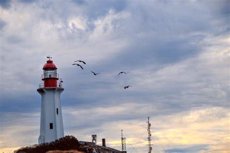 Lighthouse Park Photo | Hiking Photo Contest | Vancouver Trails