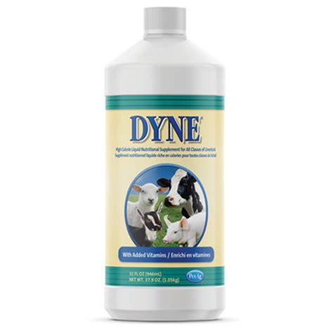 Dyne - Outback Labs