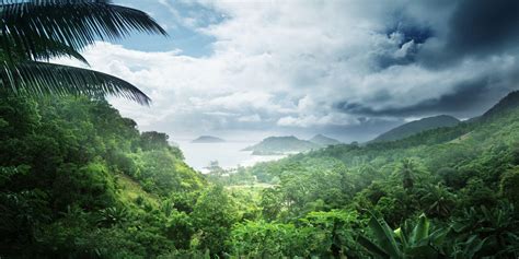 Amazon Rainforest HD Wallpapers - Wallpaper Cave