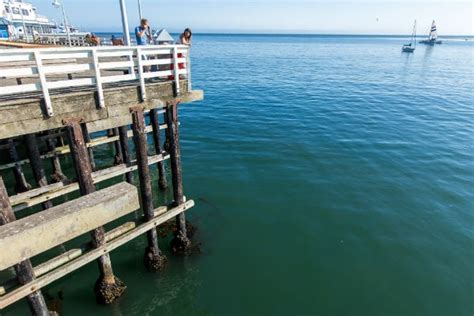 Rediscover the Santa Cruz Wharf - Visit Santa Cruz County