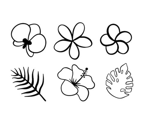 How To Draw Hawaiian Flowers Step By Step