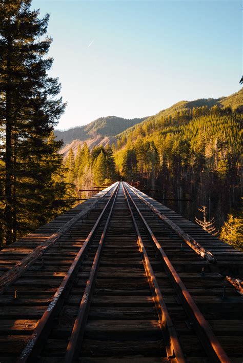 bond-and-co | Vance creek bridge, Travel light, Olympic national forest