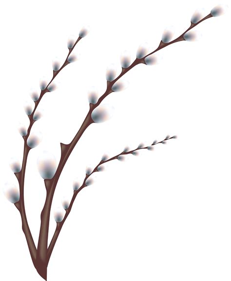 Free Transparent Branch Cliparts, Download Free Transparent Branch ...