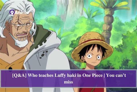 9Anime — [Q&A] Who teaches Luffy haki in One Piece | You...