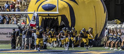 Cal Bears - Learfield