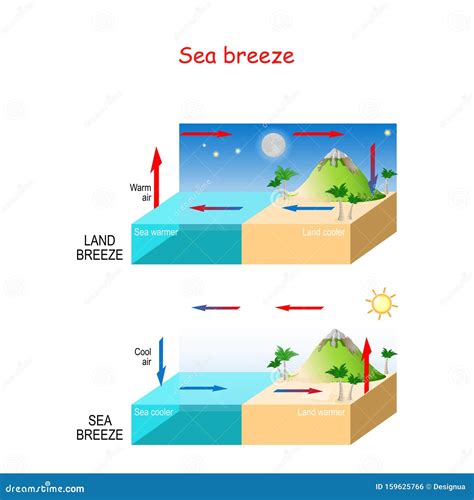 Sea Breeze And Land Breeze Cartoon Vector | CartoonDealer.com #67891315