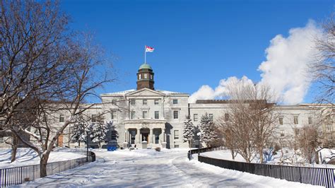 McGill's winter wonderland - McGill Reporter