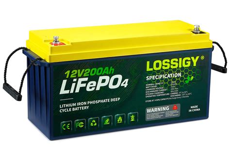 Buy LOSSIGY 12V 200Ah LiFePO4 Lithium Battery, 2560Wh Power Supply ...