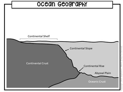 Ocean Floor Diagram | Made By Teachers