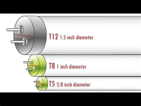 What Is The Difference Between T12 And T8