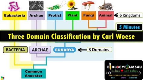 The Three-Domain System of Classification by Carl Woese (1990)|| 3 ...