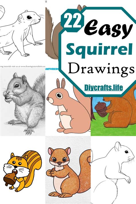 22 Easy Squirrel Drawing Ideas - DIY Crafts