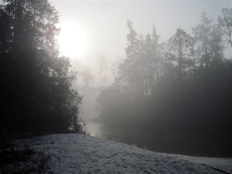 Hiking in Blackwater River State Forest | paddling, camping, biking ...