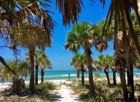 14 Prettiest Beaches in Tampa Florida - Florida Trippers