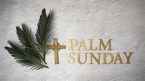 Palm Sunday: Trusting God In Times of Triumph and Sorrow » New World United Methodist Church