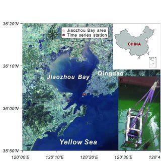 (A) Map of the study site in Jiaozhou Bay, China. The area of the... | Download Scientific Diagram