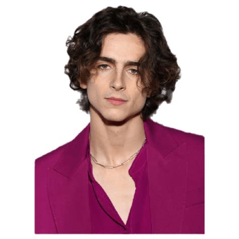Timothee chalamet Make Your Own Stickers