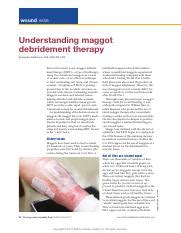 Exploring the Benefits of Maggot Debridement Therapy | Course Hero