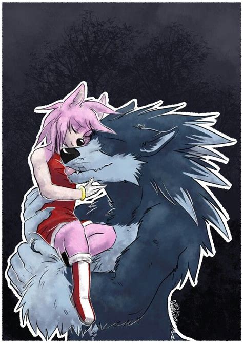 Amy Rose And Sonic The Werehog