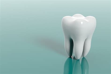 Tooth anatomy - myDr.com.au