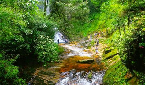 The 8 Best National Parks In Vietnam: Remarkable Caves, Gorgeous ...