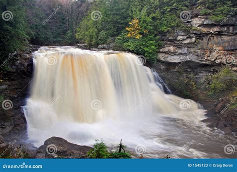 Blackwater Falls Royalty-Free Stock Photo | CartoonDealer.com #1433625